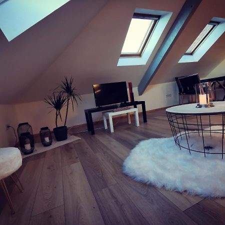Cosy Chic Appartamento Erstein Esterno foto