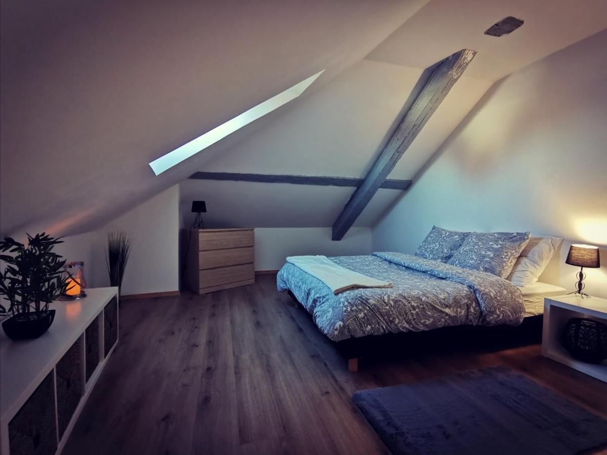 Cosy Chic Appartamento Erstein Esterno foto