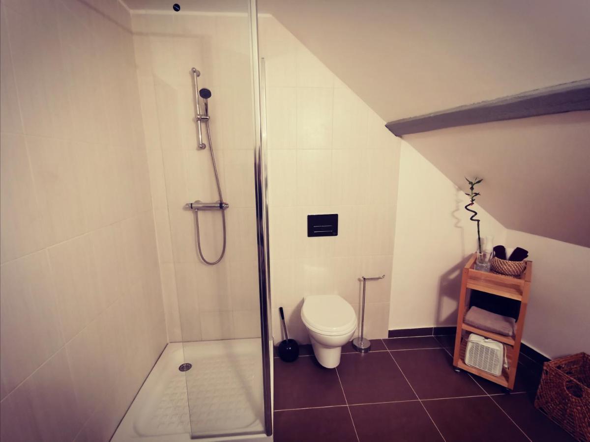 Cosy Chic Appartamento Erstein Esterno foto