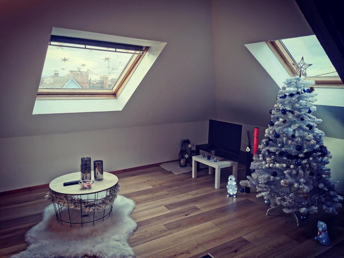 Cosy Chic Appartamento Erstein Esterno foto